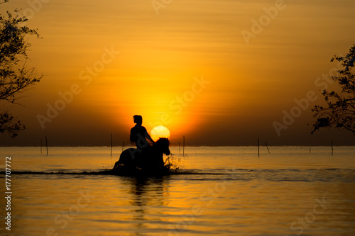 Abstract silhouette of equestrian in the morning.