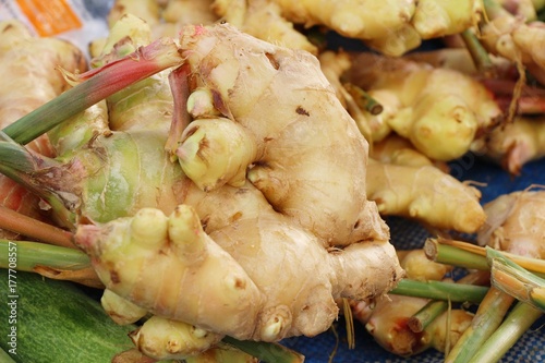 Ginger root for cooking in the market