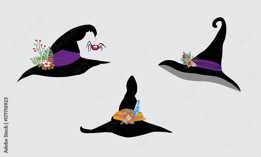 Fototapeta premium Set of witch hats decorated with flowers and spider isolated on white background. Vector illustration, clip art.