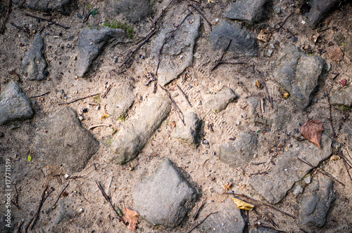 path of gray stones on the ground. texture, background.