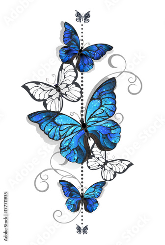 Naklejka Niebieskie morpho i białe motyle