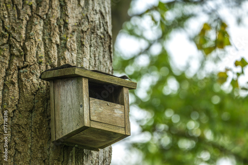 a nest box on a tree with green leaves and sunshine