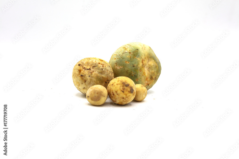 Fototapeta premium Fresh mushrooms collected from tropical forest in Thailand isolated white