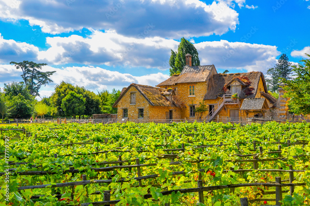 European rural landscape, an old French house with a vineyard.