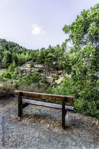 Wooden bench in the Troodos mountains