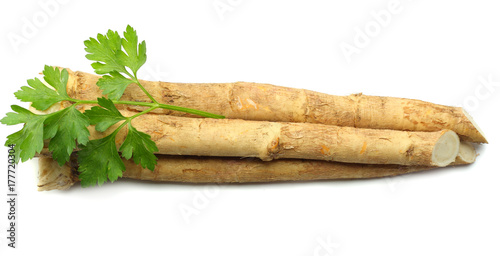 horseradish root with parsley isolated on white background Fototapet
