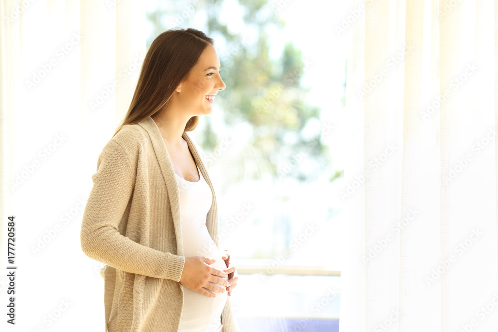Pregnant lady looking through a window Pregnant lady looking through a window