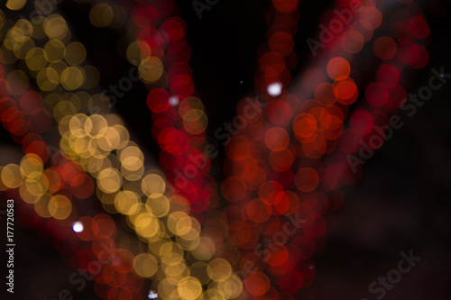Denver Botanical Garden Christmas Lights November Snow  Colorado
