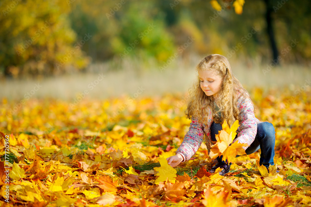 beautiful little girl is walking in the autumn park, collects a bouquet of fallen leaves. beautiful little girl is walking in the autumn park, collects a bouquet of fallen leaves.