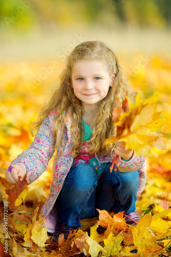 beautiful little girl is walking in the autumn park  collects a bouquet of fallen leaves.