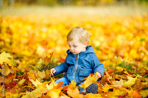 happy kid in a beautiful autumn park  playing and cheering under falling leaves