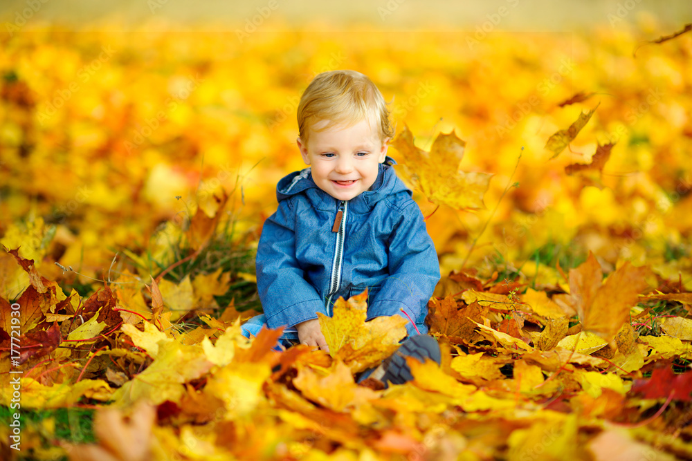 happy kid walks in a beautiful autumn park, plays and fires. happy kid walks in a beautiful autumn park, plays and fires.