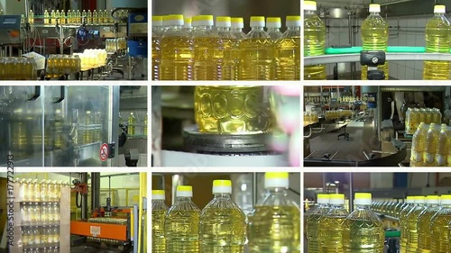 Sunflower oil on the production line- multi screen