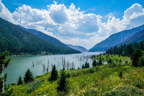 Earthquake Lake in Yellowstone National Park the landscape of this area was changed by an earthquake in 1959. photo