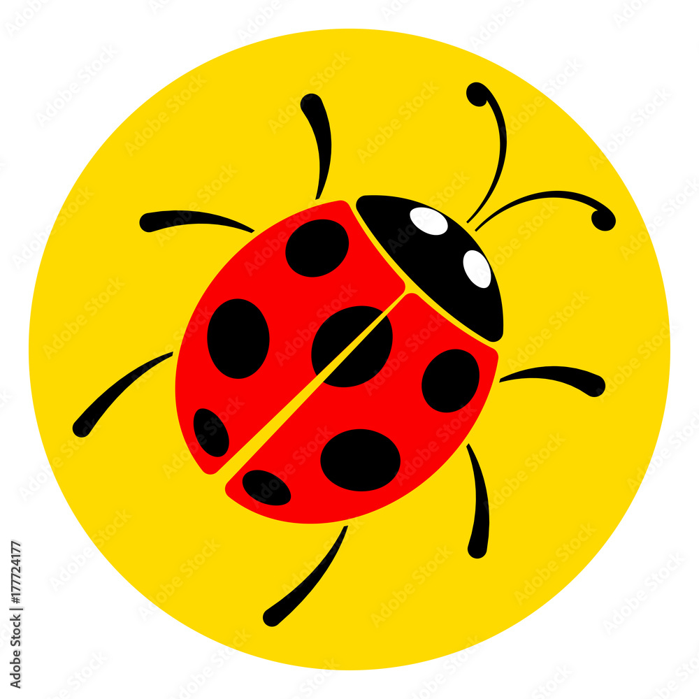 lady bug circle icon lady bug circle icon