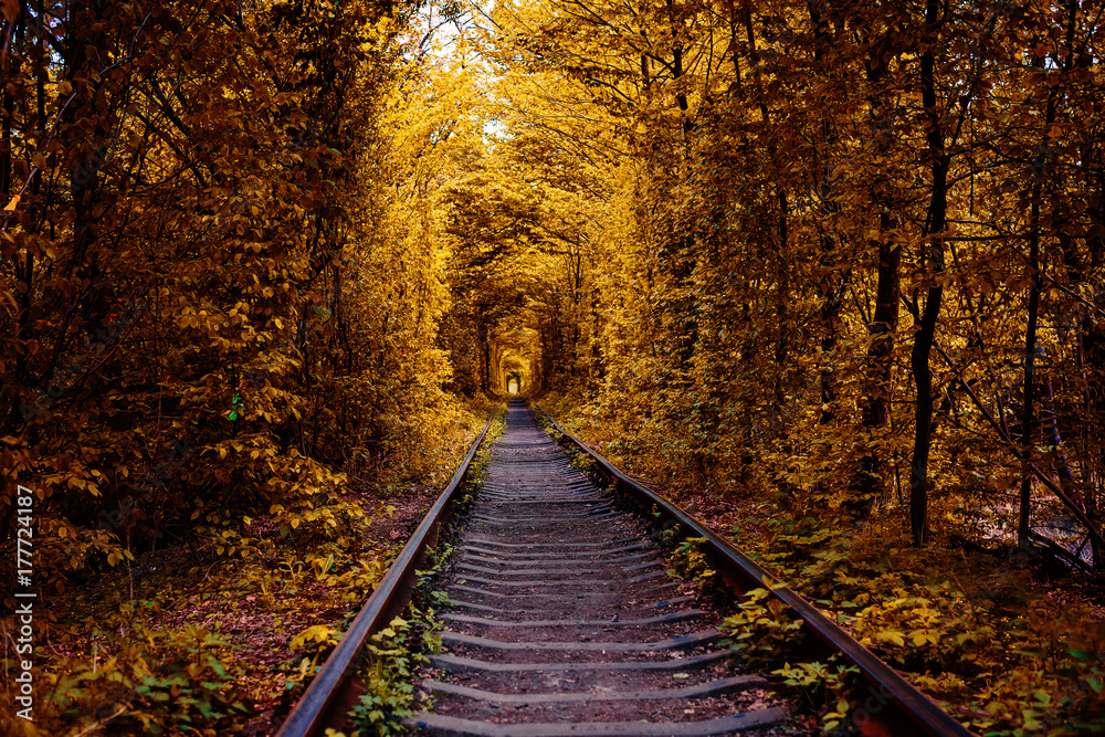 Obraz premium love tunnel in autumn