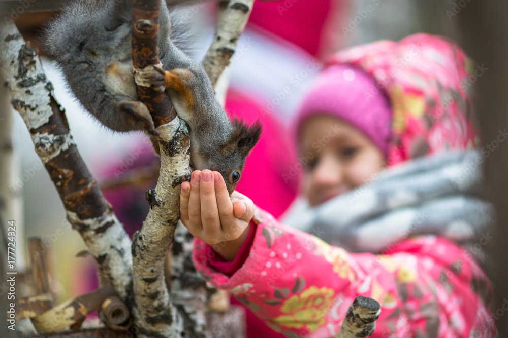 Little girl with hand feeding a squirrel in the Park. Little girl with hand feeding a squirrel in the Park.