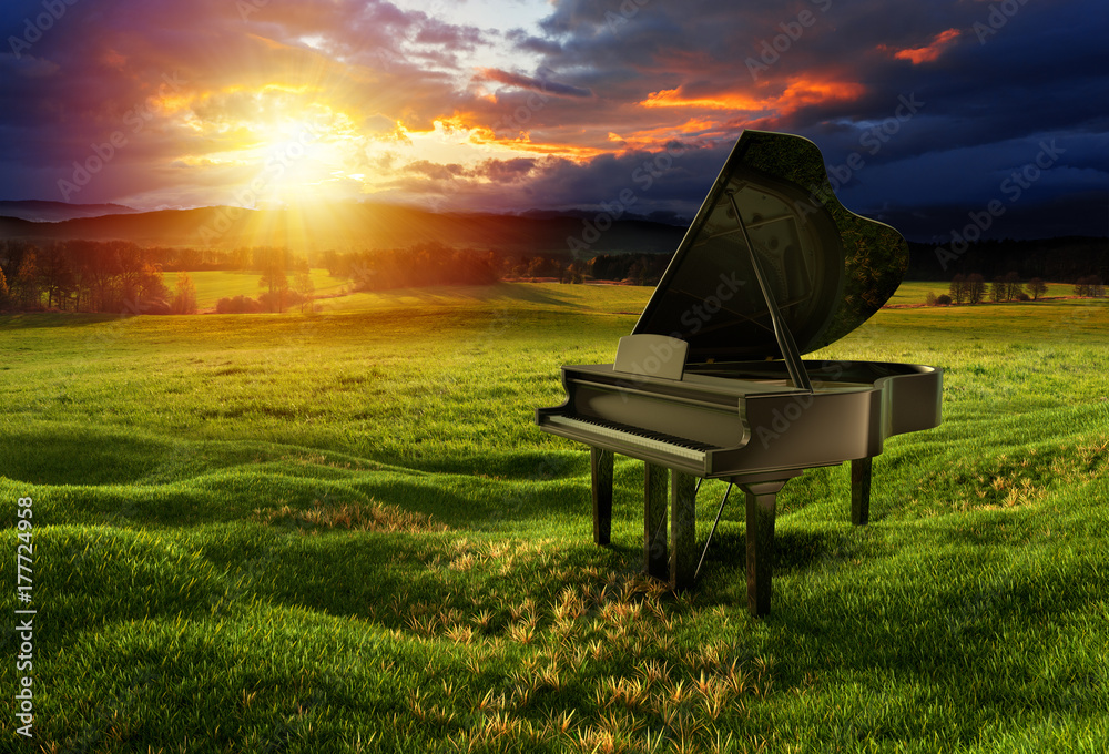 Fototapeta Piano on the meadow under the dramatic sky
