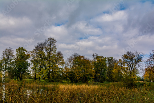 Fototapeta Naklejka Na Ścianę i Meble -  Jesień