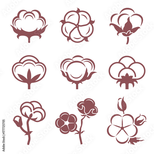 Monochrome stylized pictures set of white cotton flowers. Vector illustrations set