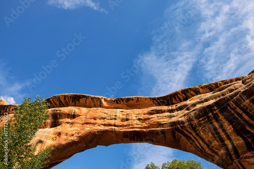 Natural Bridges National Monument: Sipapu Bridge seen from underneath with copy space over the bridge. photo