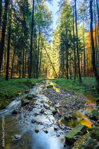 Autumn, fall wild river Doubrava, picturesque landscape. photo