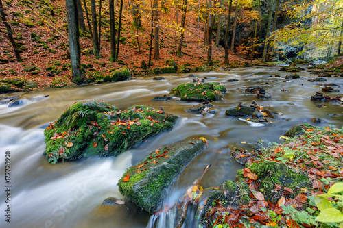 Autumn, fall wild river Doubrava, picturesque landscape. photo