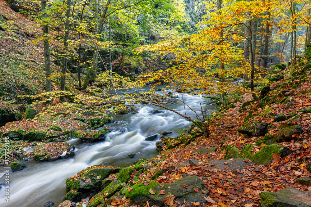 Autumn, fall wild river Doubrava, picturesque landscape. Autumn, fall wild river Doubrava, picturesque landscape.