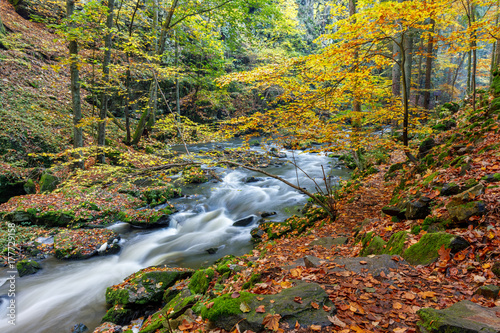 Autumn, fall wild river Doubrava, picturesque landscape.