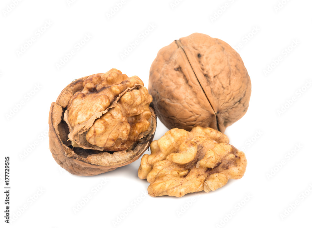 Walnut isolated Walnut isolated