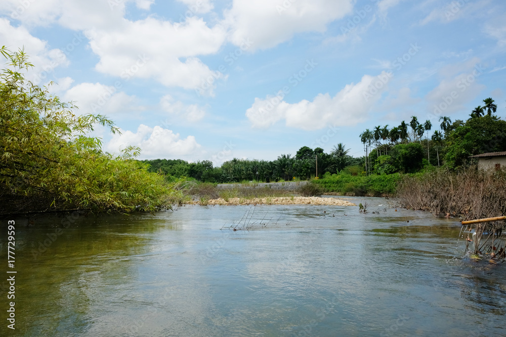 River with rocks, stream in a tropical rain forest. River with rocks, stream in a tropical rain forest.