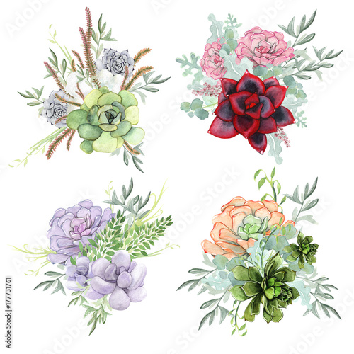 A set of watercolor compositions made of succulent flowers.