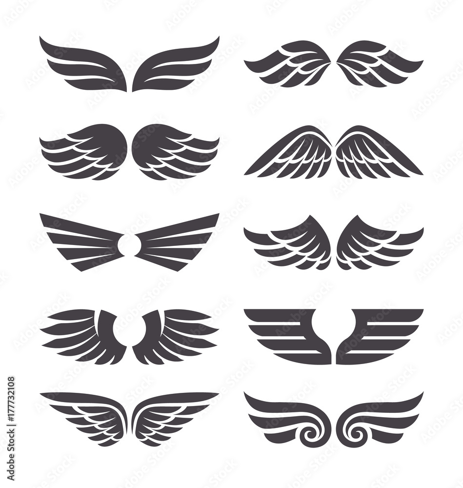 Set of Vector Wings Set of Vector Wings