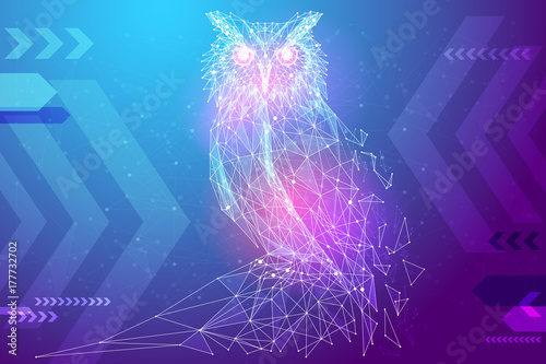 Abstract image owl bird in the form of a starry sky or space, consisting of points, lines, and shapes in the form of planets, stars and the universe. Education vector wireframe concept. Blue purple