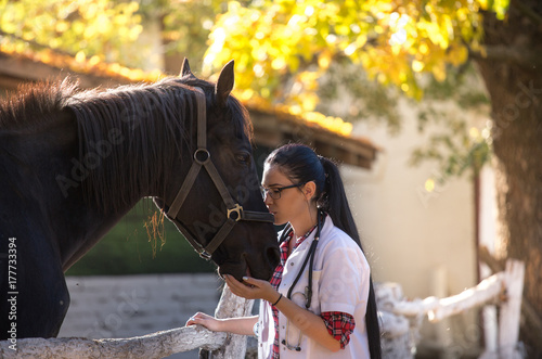 Veterinarian with horse on farm