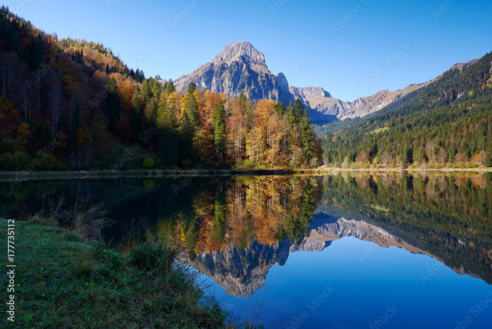 See Obersee Wasserspiegelung Herbstwald Berg Brünnelistock blauer Himmel Schatten Licht Herbst