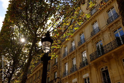 Range d'automne aux Champs Élysées, Paris, France photo