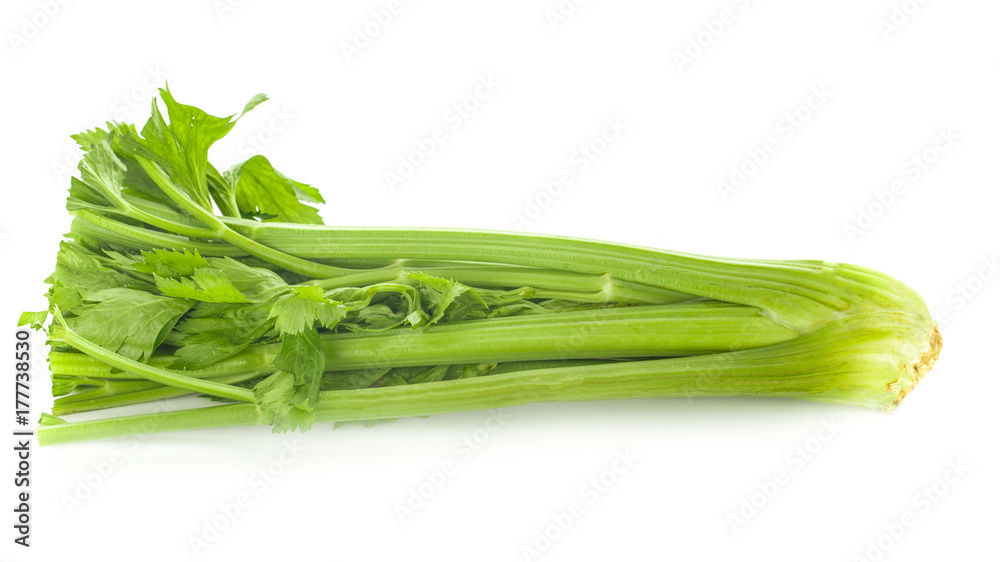 fresh celery on white background fresh celery on white background