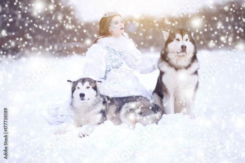 Snow-queen. Fairy tale girl with Huskies or Malamute. Beautiful snow queen witn dogs. Christmas photo