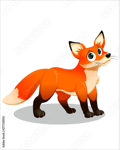 Little red Fox with big eyes - vector drawing - isolate white background © Linza