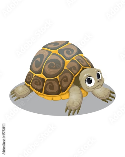 Little cute turtle -vector drawing