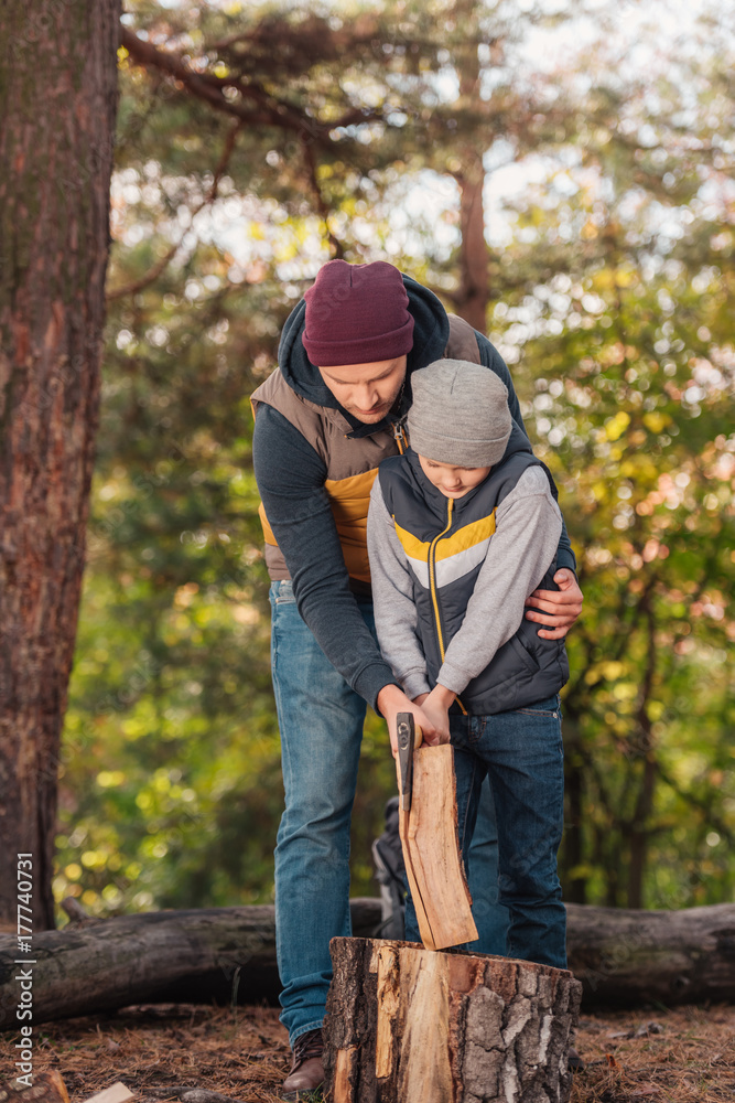 father and son chopping firewood father and son chopping firewood