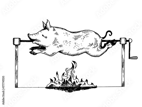 Piggy on spit engraving vector illustration