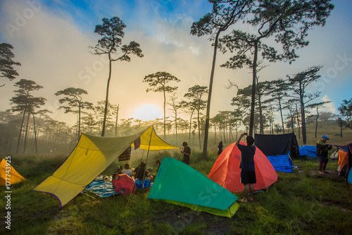 Fototapeta Naklejka Na Ścianę i Meble -  Camping spots