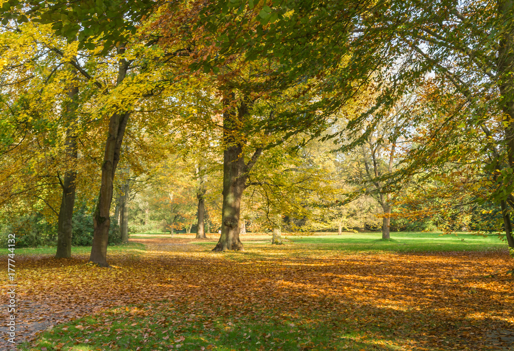 Autumnal impressions in a park, the Karlsaue in Kassel, Germany