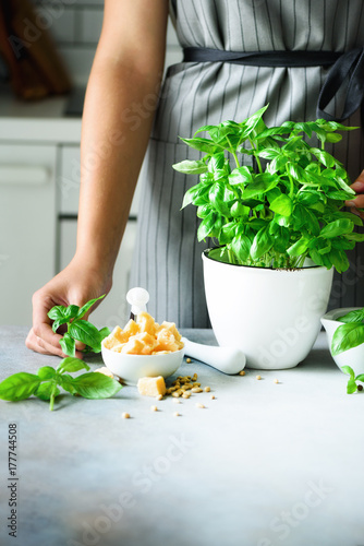 Woman in style apron holding pot with fresh organic basil, white kitchen interior design. Copy space. Lifestyle concept