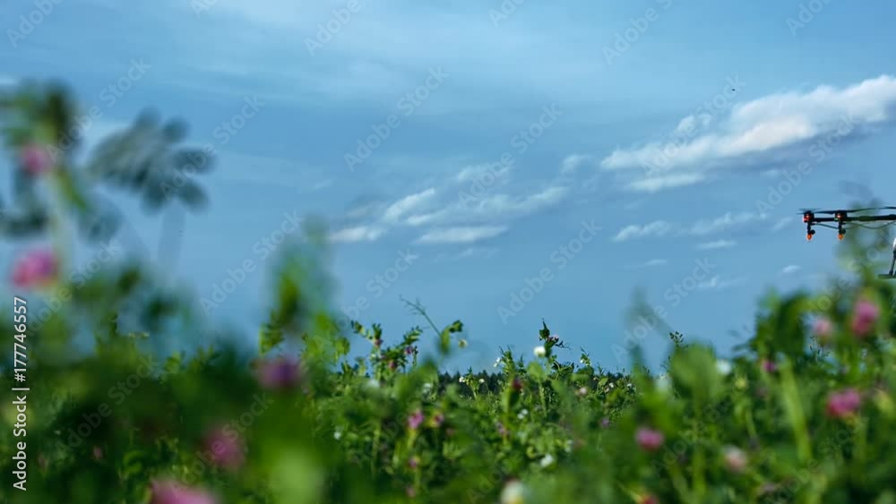 Agriculture drone flying on flowers field Agriculture drone flying on flowers field