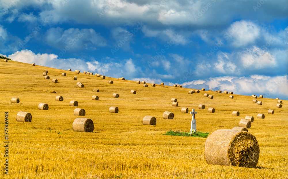 Fototapeta premium Straw bales on a wheat field in Slovakia
