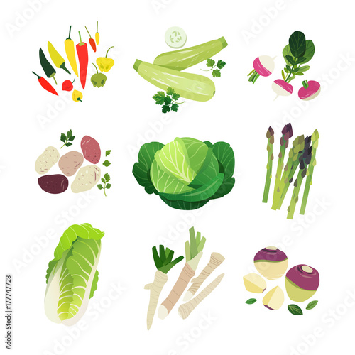 Vegetable set with chili peppers, grey zucchini, turnip, potato, green cabbage, asparagus, napa, horse radish and rutabaga