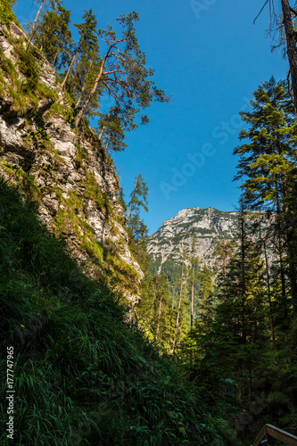 Wilder Bach, Felsen und Bäume © Hacki Hackisan